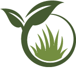 Key Geranium Planting